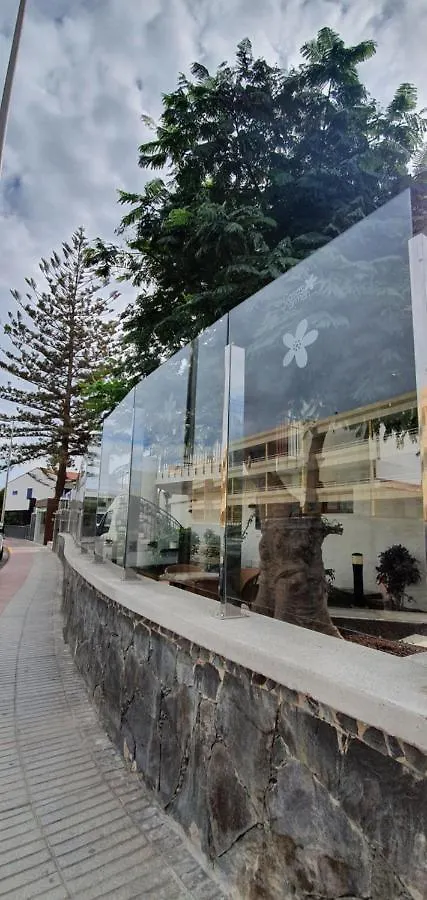 Apartamentos Casas Carmen - Adults Only Playa del Ingles  Apartment Playa del Ingles (Gran Canaria)